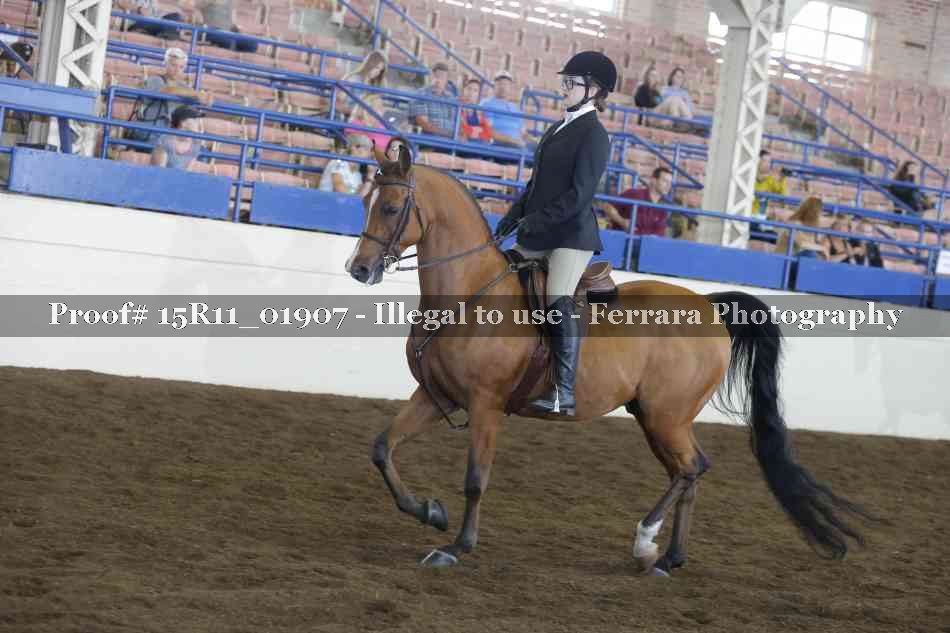 Proof 15R11_01907
