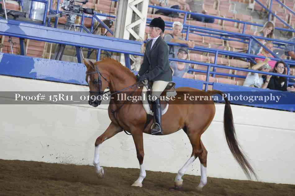Proof 15R11_01908