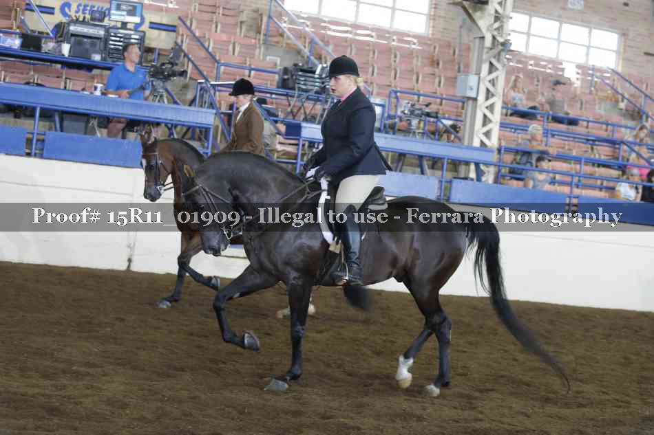 Proof 15R11_01909