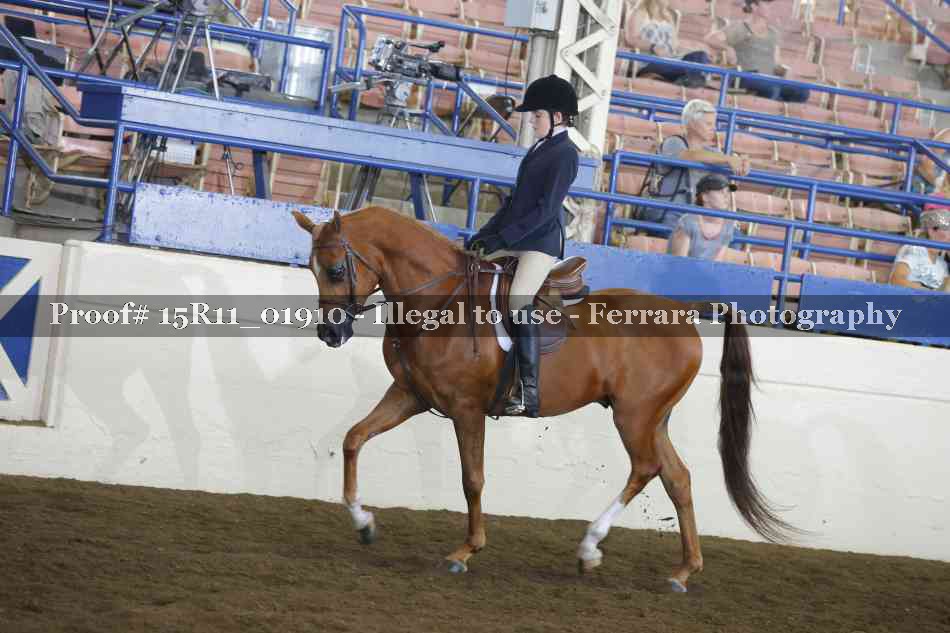 Proof 15R11_01910