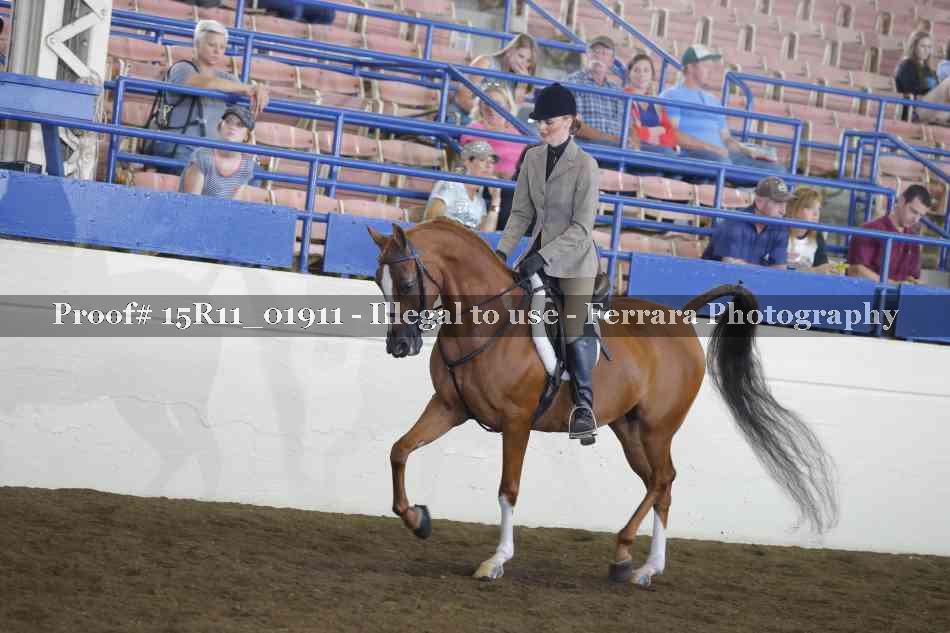 Proof 15R11_01911