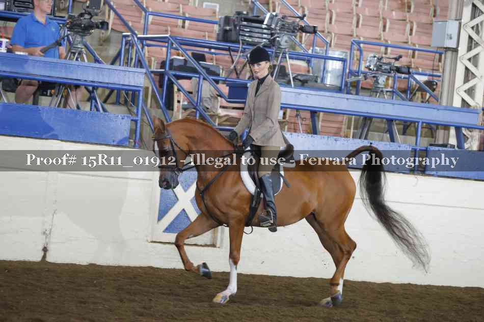 Proof 15R11_01912