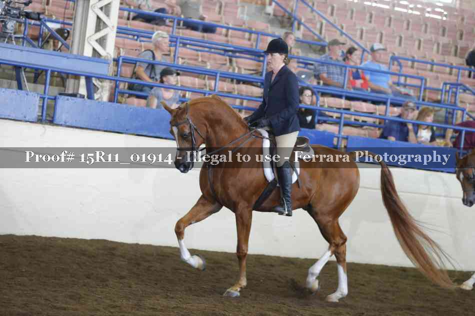 Proof 15R11_01914