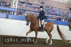 15R11_01914 proof