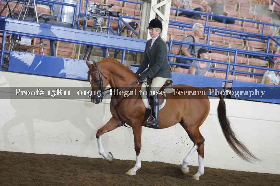 Proof 15R11_01915