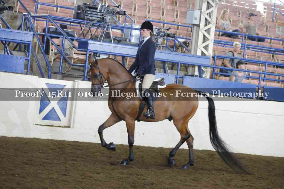 Proof 15R11_01916