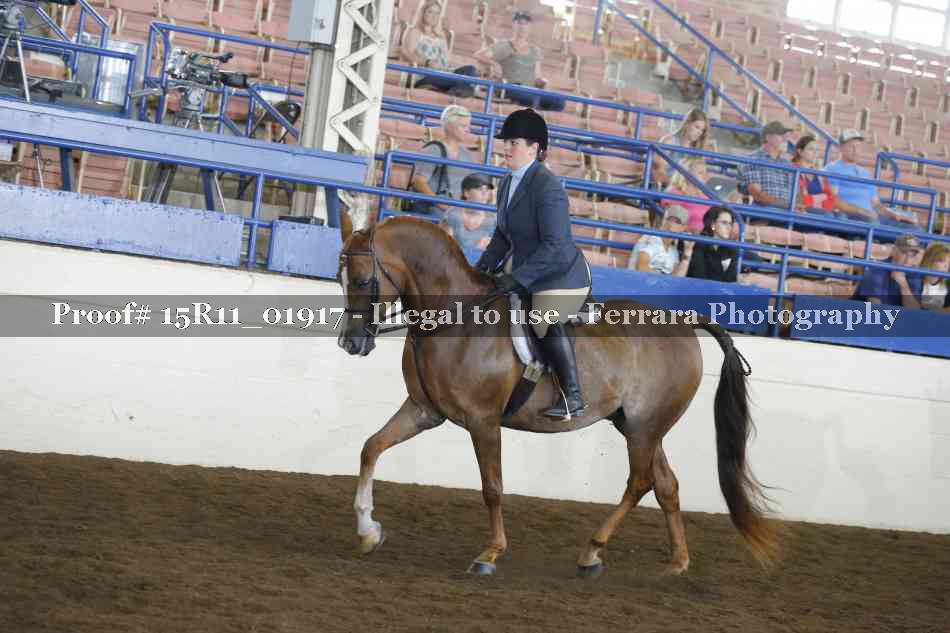 Proof 15R11_01917