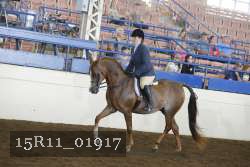 15R11_01917 proof