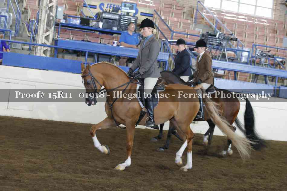 Proof 15R11_01918