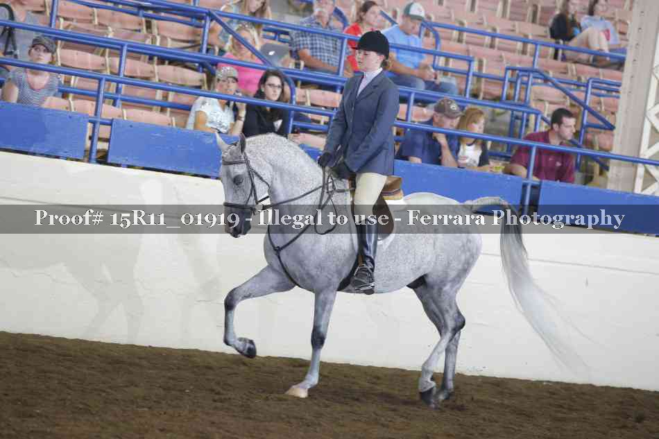 Proof 15R11_01919