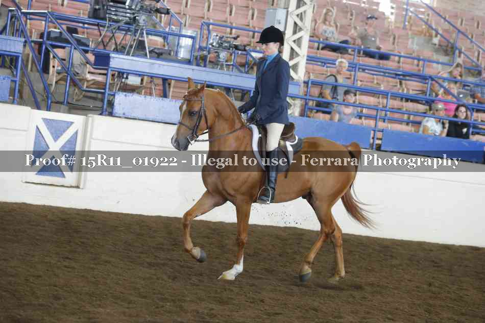 Proof 15R11_01922