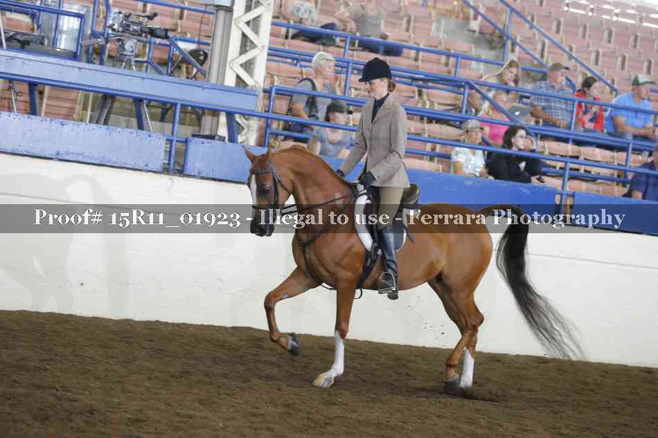 Proof 15R11_01923