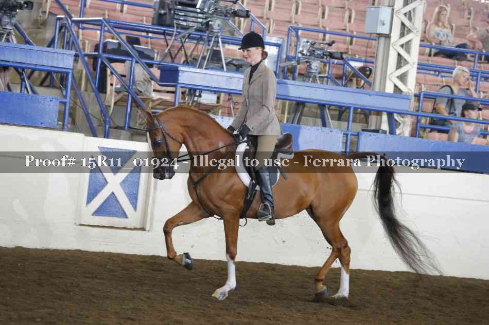 Proof 15R11_01924