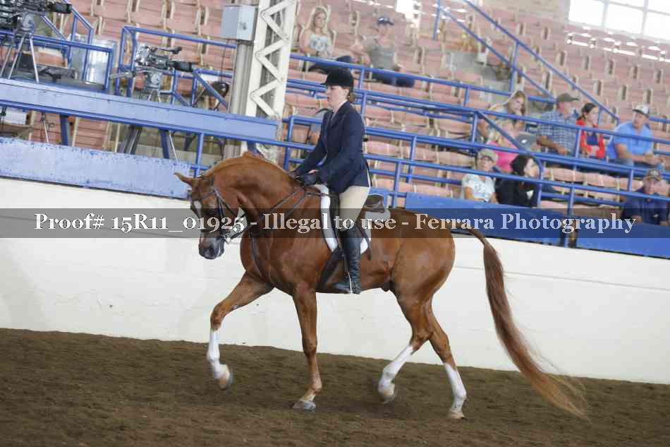 Proof 15R11_01925