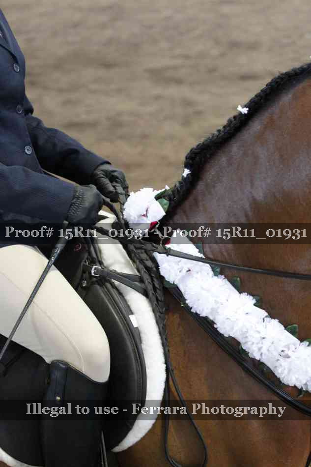Proof 15R11_01931