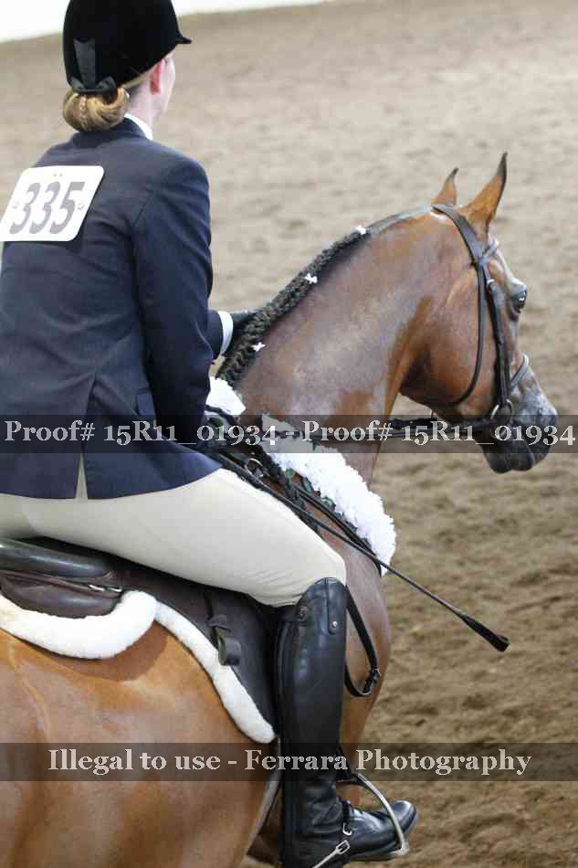 Proof 15R11_01934