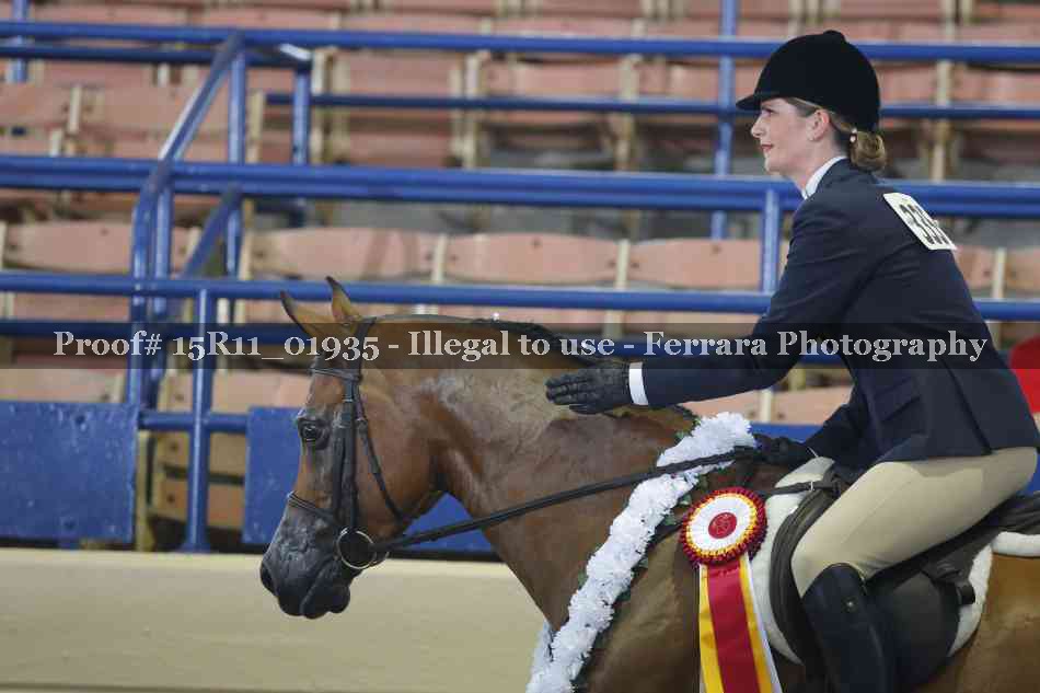 Proof 15R11_01935