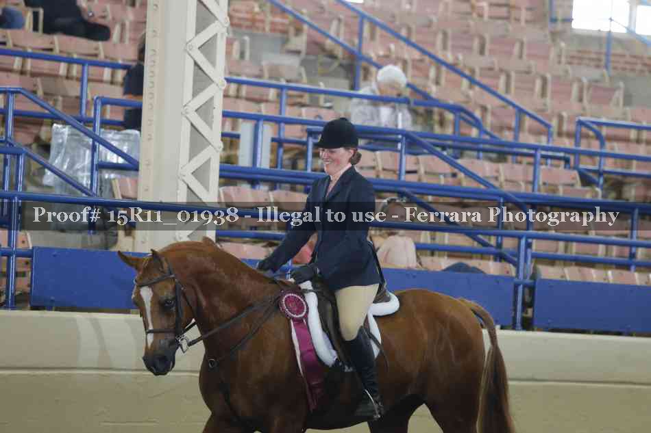 Proof 15R11_01938