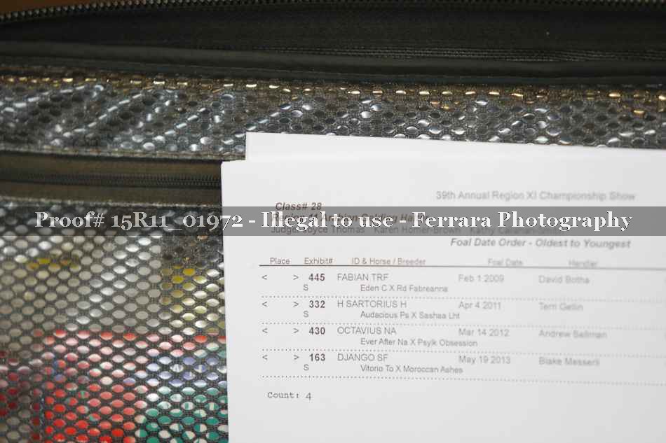 Proof 15R11_01972