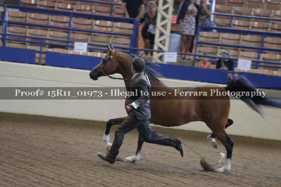 Proof 15R11_01973