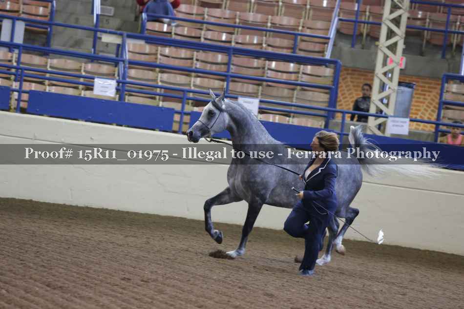 Proof 15R11_01975