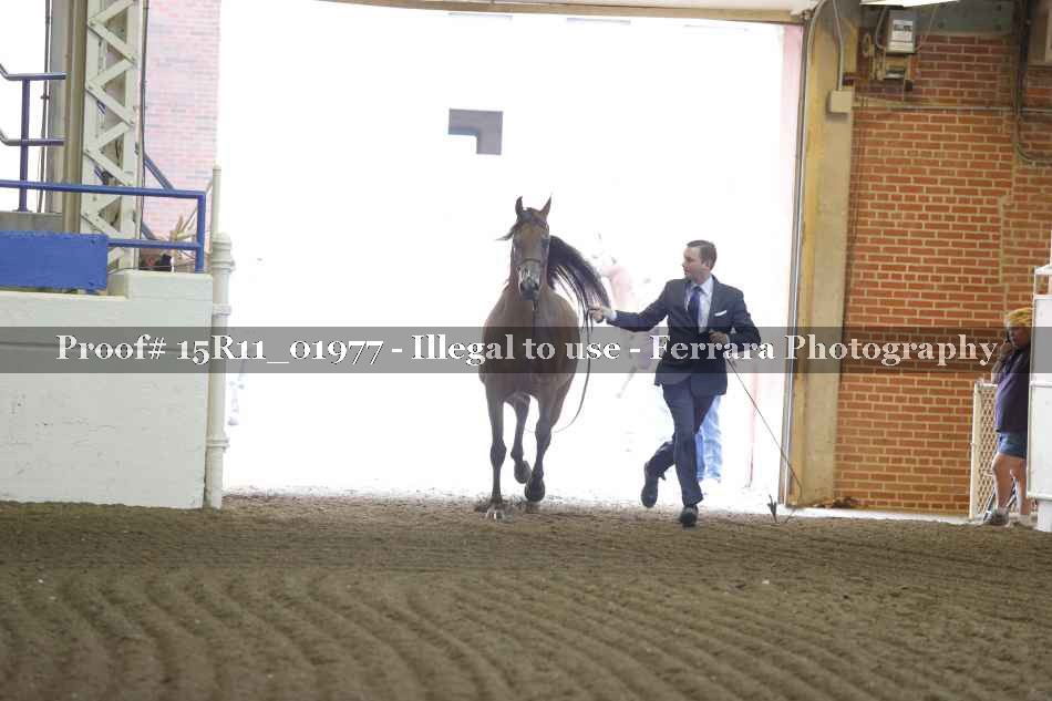 Proof 15R11_01977