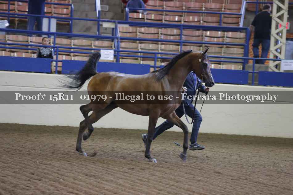 Proof 15R11_01979