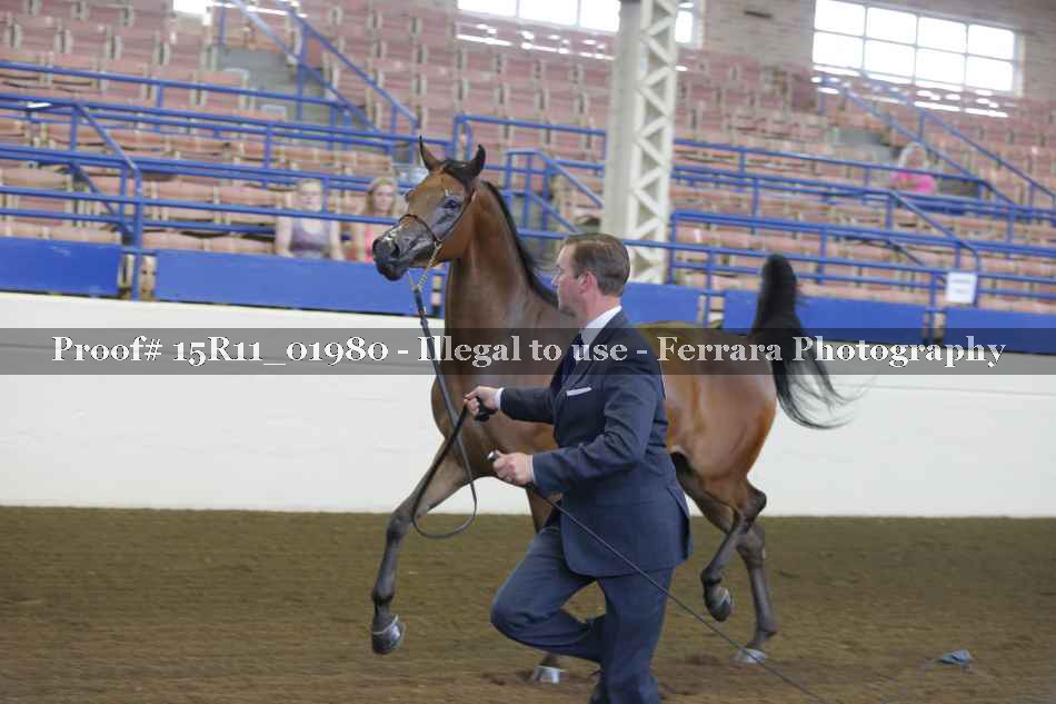 Proof 15R11_01980