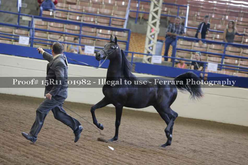 Proof 15R11_01982