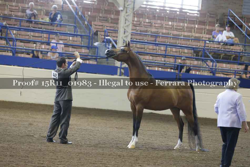 Proof 15R11_01983