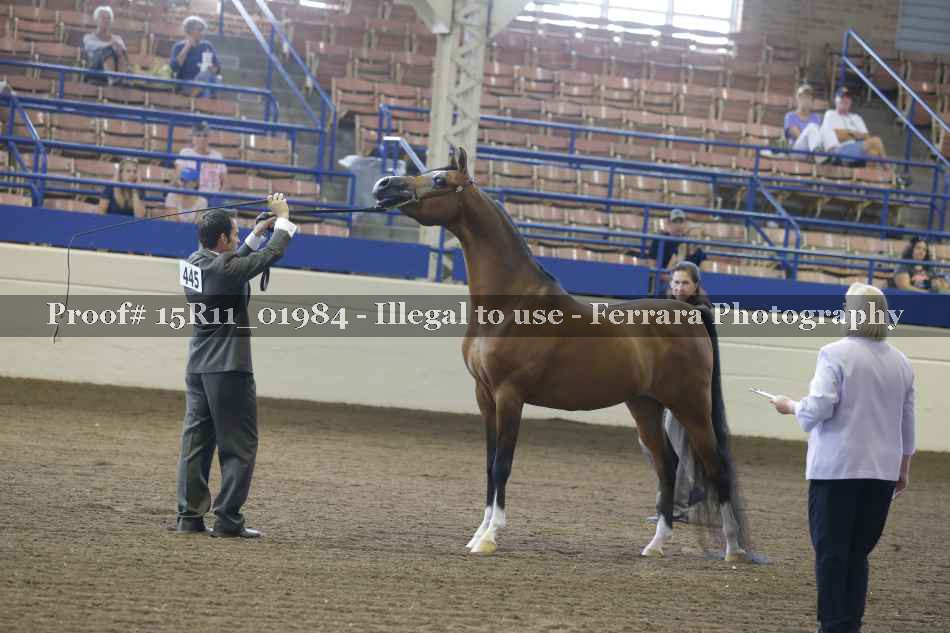 Proof 15R11_01984