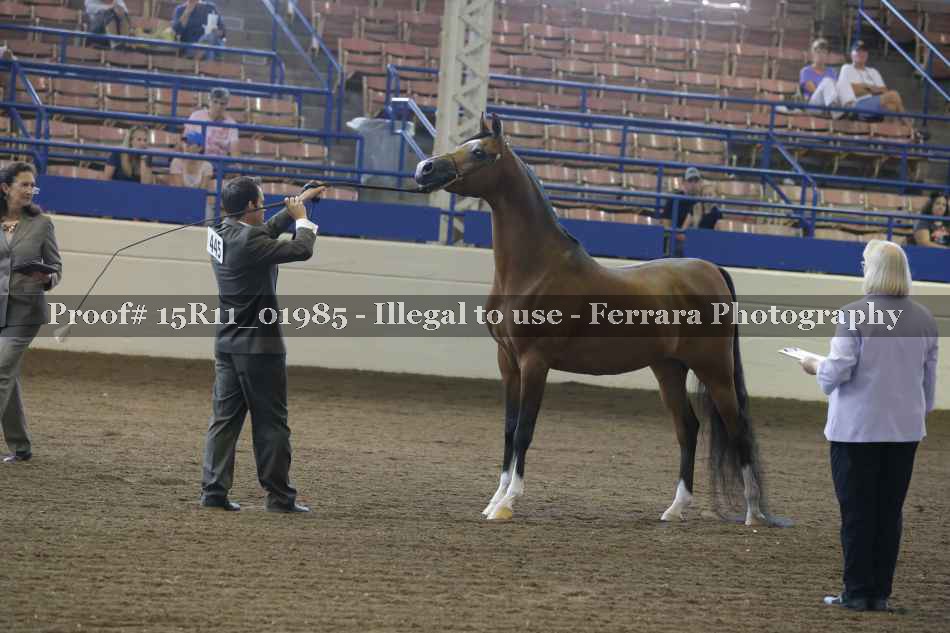 Proof 15R11_01985