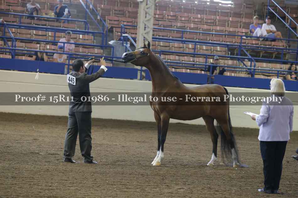 Proof 15R11_01986