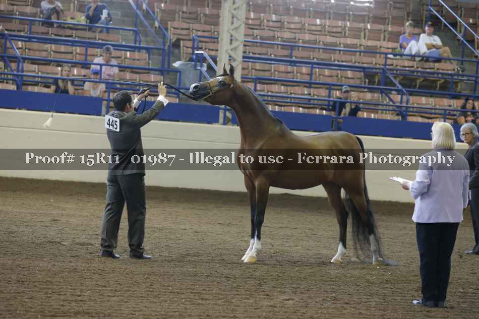 Proof 15R11_01987
