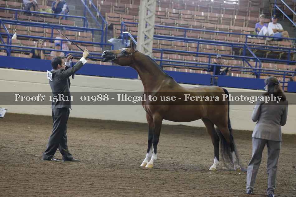 Proof 15R11_01988