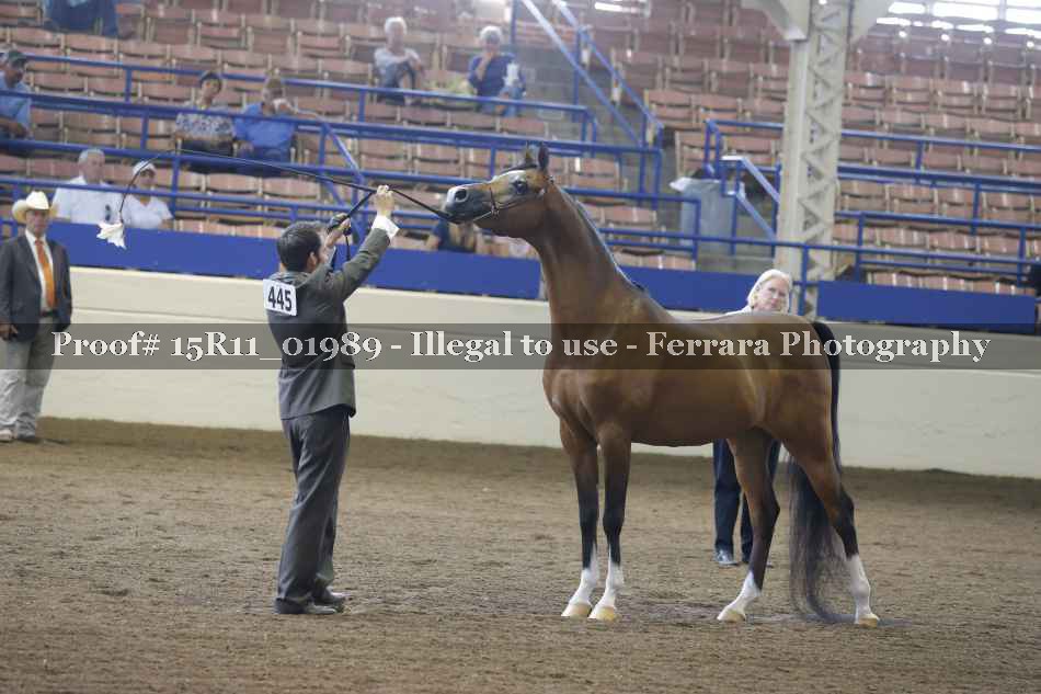 Proof 15R11_01989