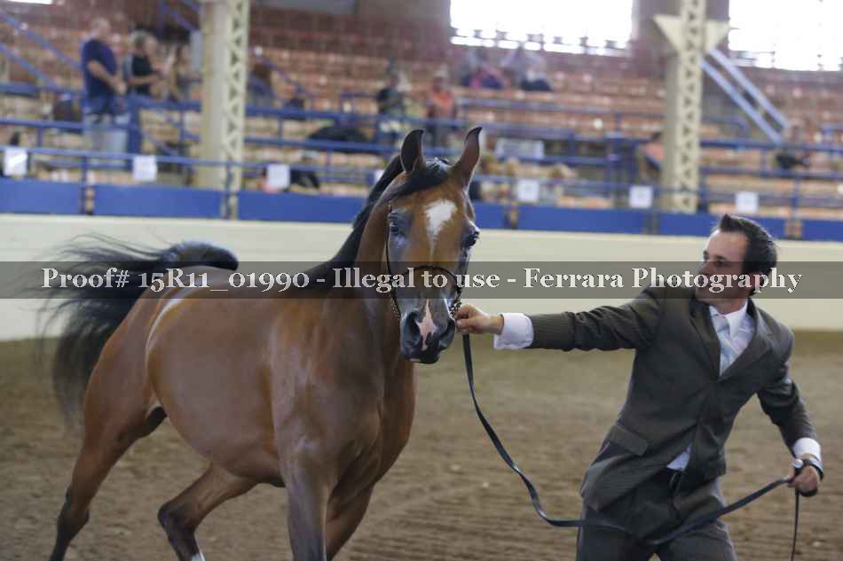 Proof 15R11_01990