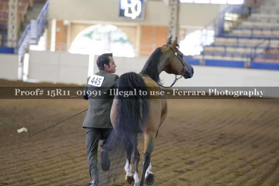 Proof 15R11_01991
