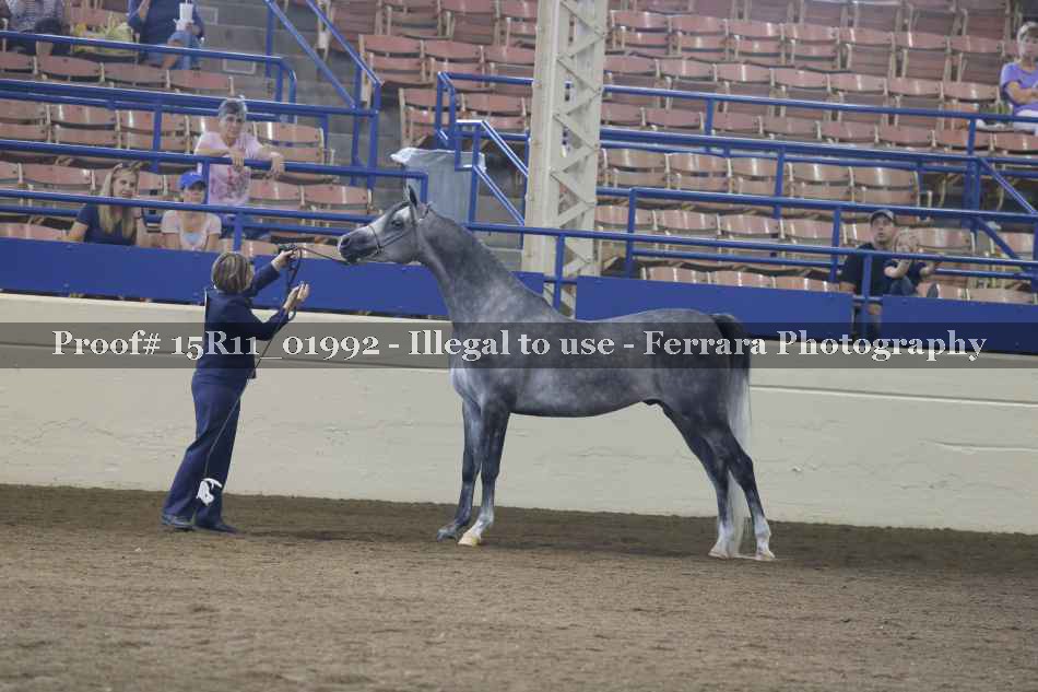 Proof 15R11_01992