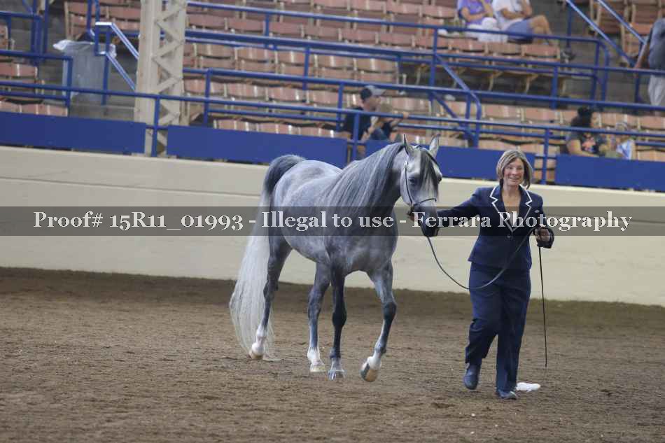 Proof 15R11_01993
