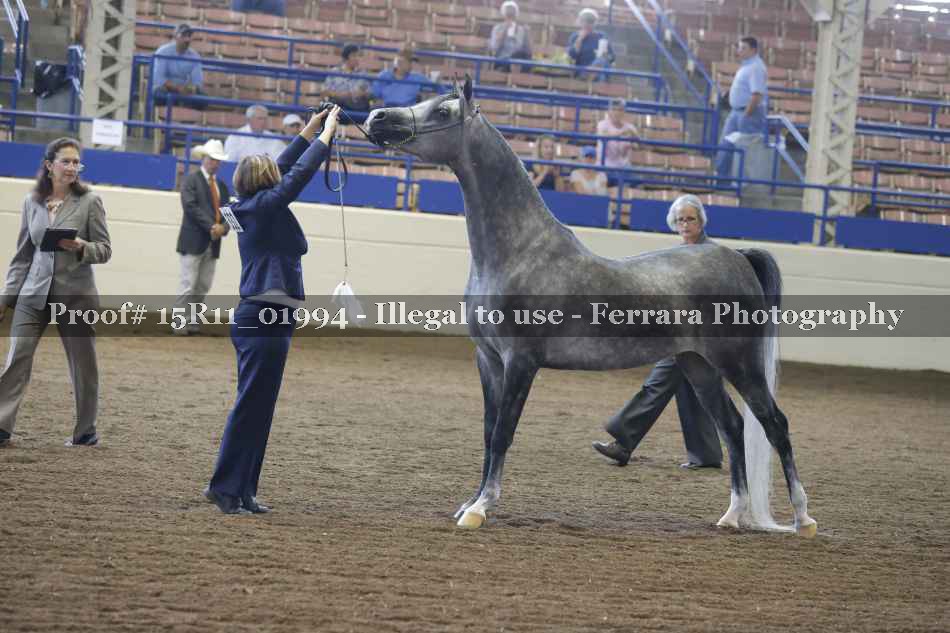 Proof 15R11_01994