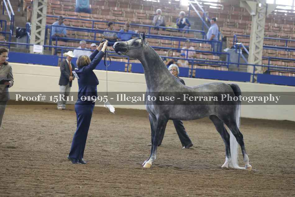 Proof 15R11_01995