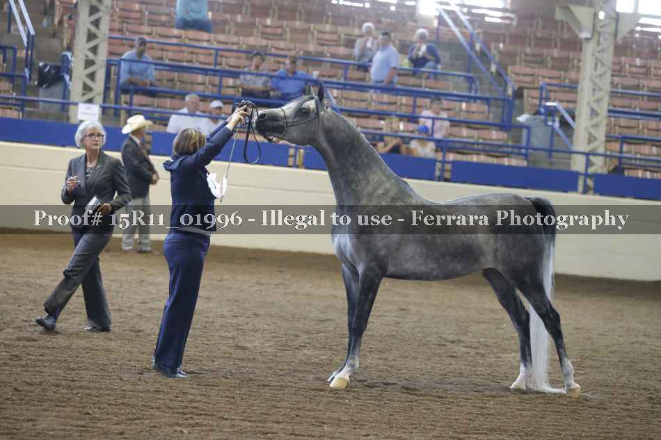 Proof 15R11_01996