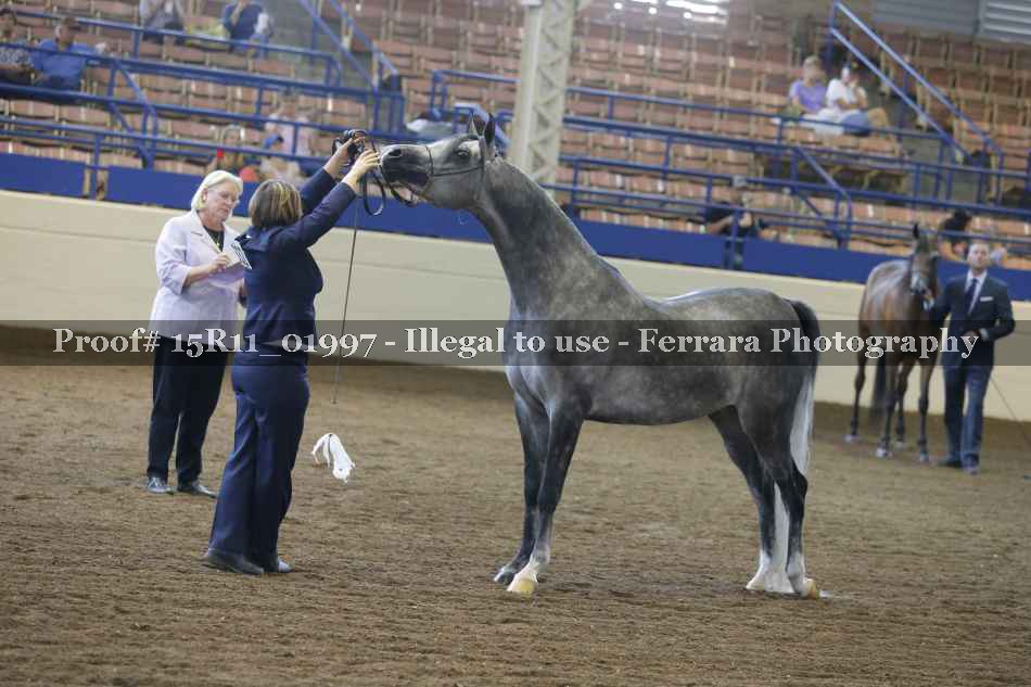 Proof 15R11_01997