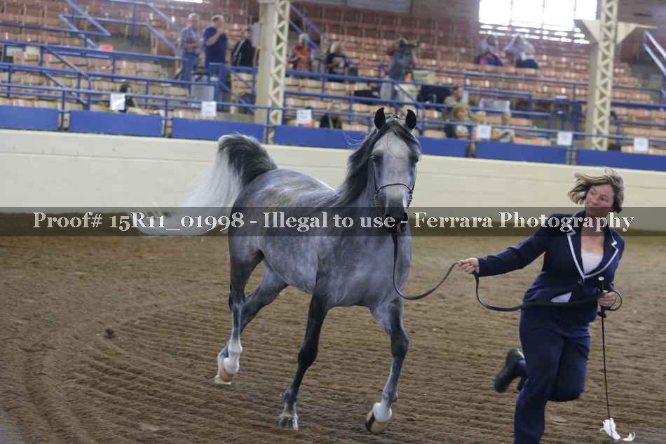 Proof 15R11_01998