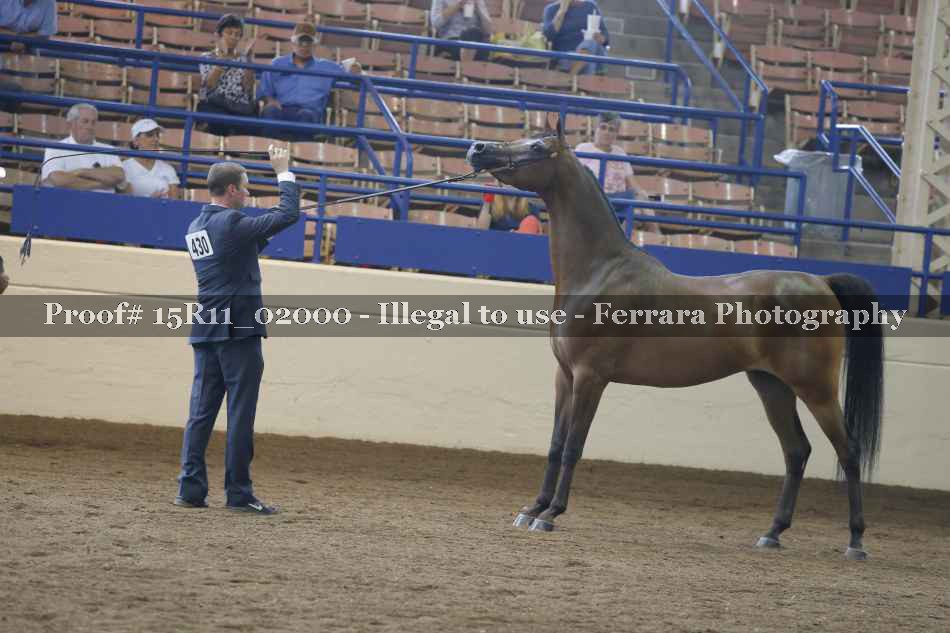 Proof 15R11_02000