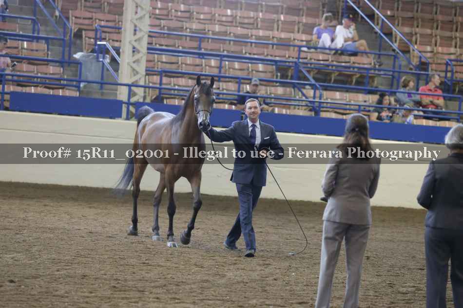 Proof 15R11_02001