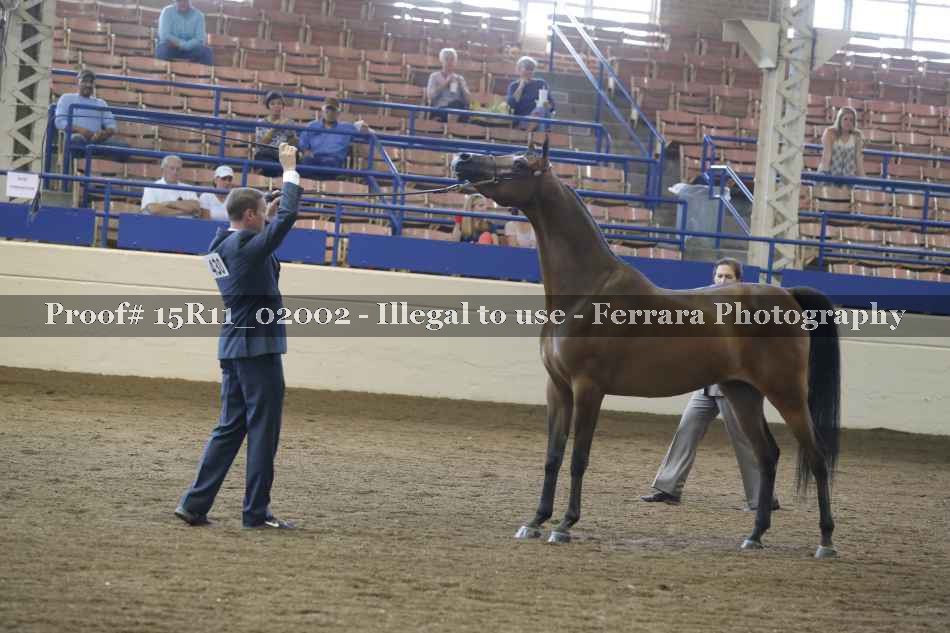 Proof 15R11_02002