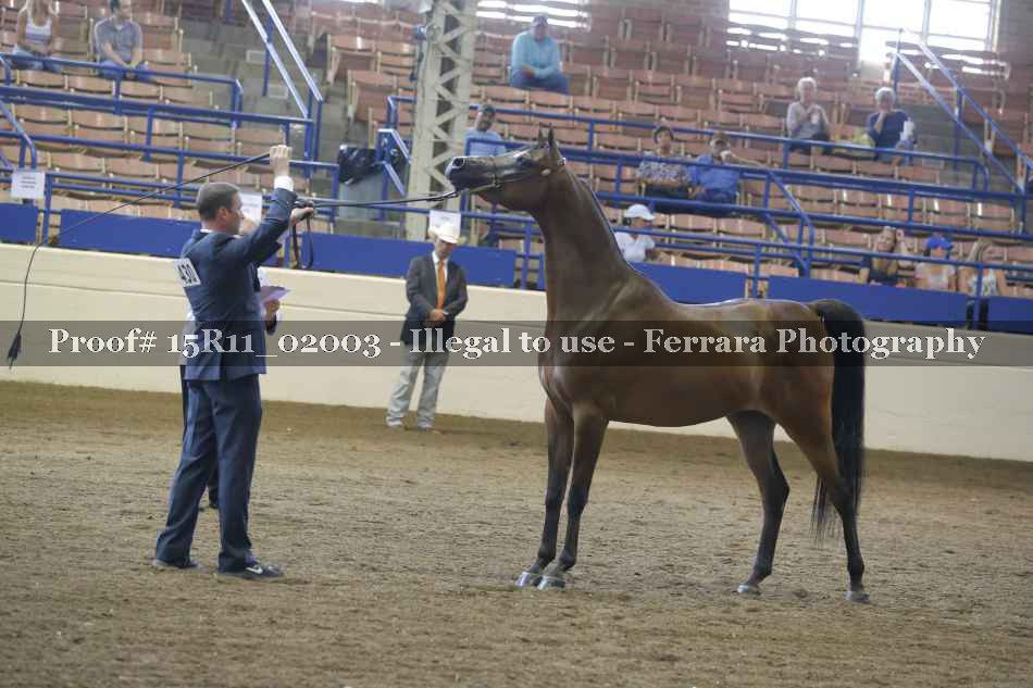 Proof 15R11_02003