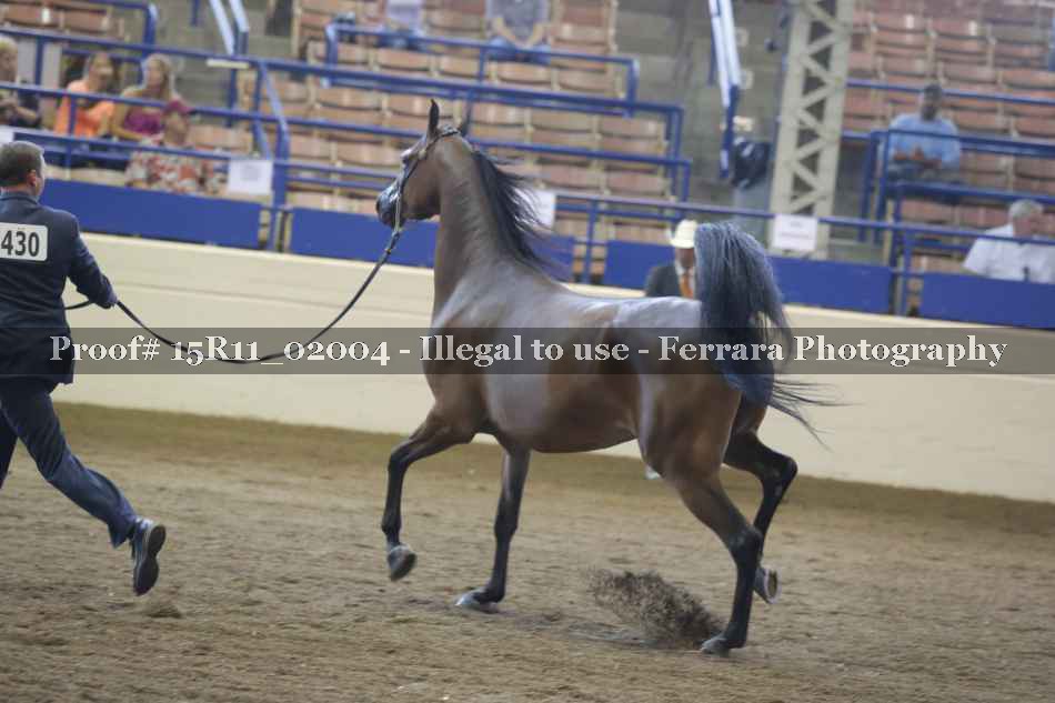 Proof 15R11_02004